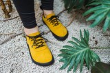 Be Lenka Trailwalker
